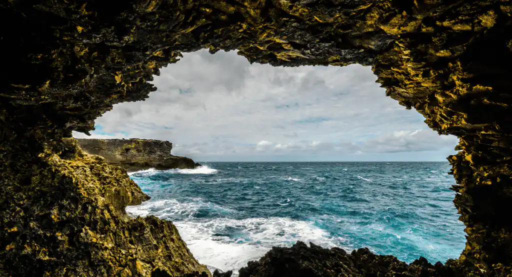 Animal Flower Cave Barbados