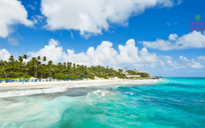 The Expat’s Guide to Moving to Barbados from UK