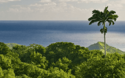 Blissful Barbados Living At Apes Hill