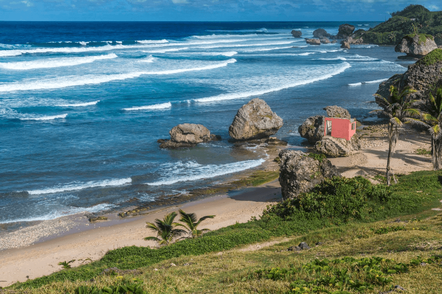 A Look at Life on the East Coast of Barbados