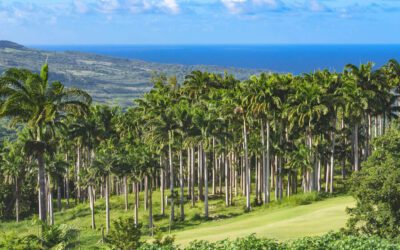 Luxury Living: Comparing The Crane Private Residences to Apes Hill Barbados