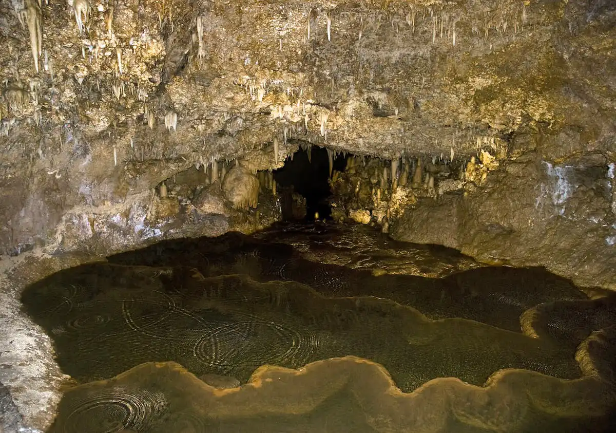 View of the ocean from inside the Animal Flower Cave