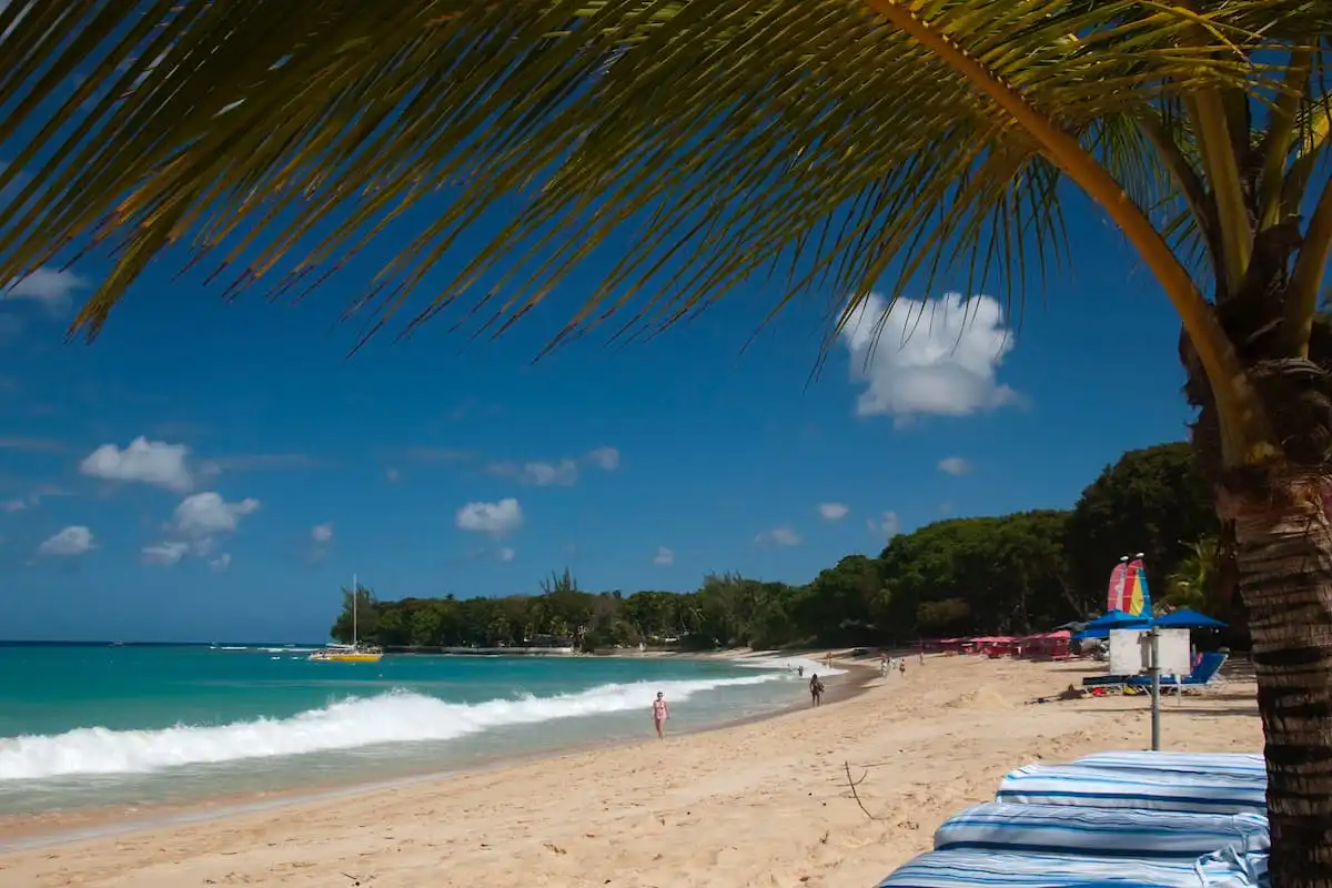 People walking on sand at Paynes Bay with sun beds and trees in background and yellow boat in the blue waters