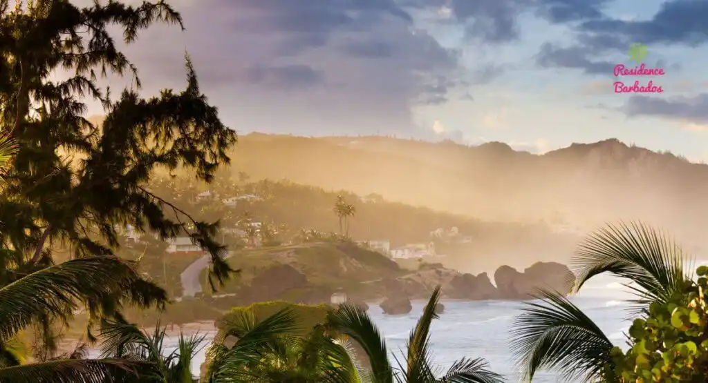 Barbados Road Trip - Bathsheba Soup Bowl