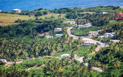 Experience A Barbados Road Trip