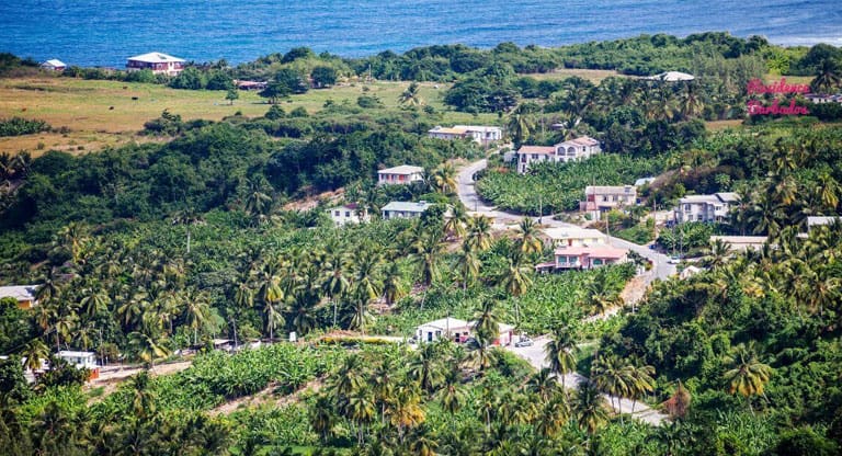 Barbados Road Trip - View of the road to Bathsheba