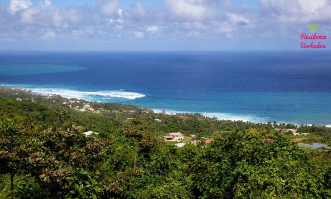 A Guide to Buying Land in Barbados: Key Steps and Considerations