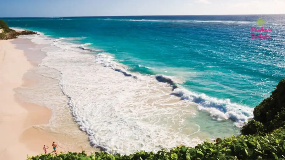 Crane Beach