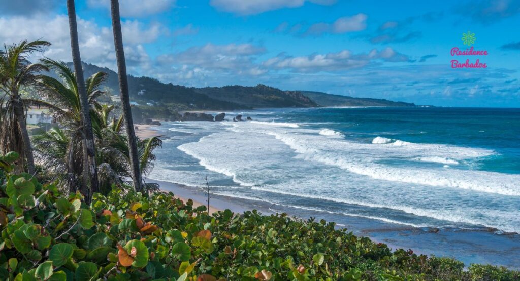 East Coast of Barbados