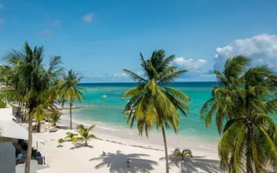 Investing in Barbados: The Sands vs. Apes Hill