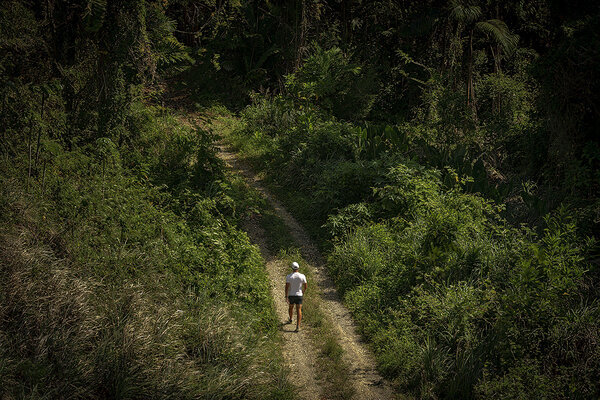 Hiking trails at Apes Hill Barbados