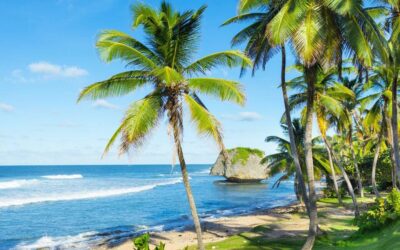 Barbados or Bermuda – Best Island for Relocation and Investment?