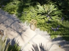 20231220_CG_Barbados_path_closeup_with_candle_HR