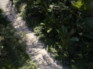 20231221_CG_Barbados_closeup_path2_HR