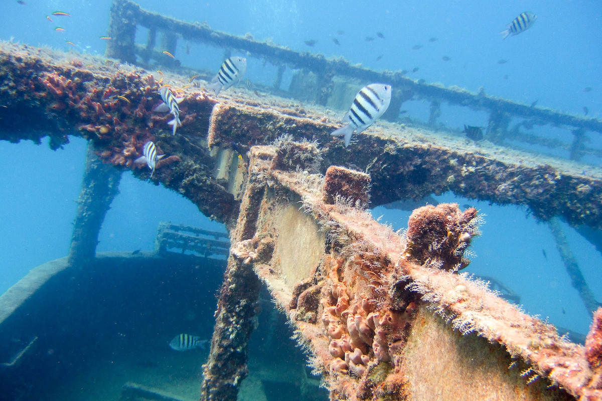 Carlisle Bay Shipwreck Trail