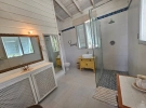 Main house master bathroom