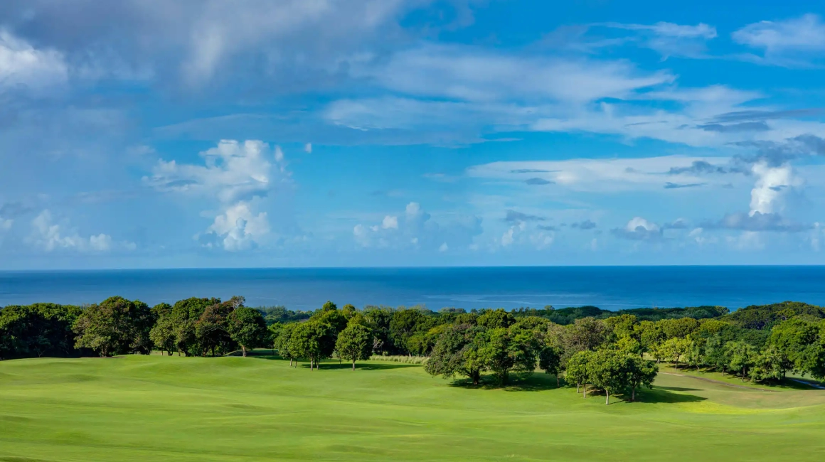 Ocean View Royal Westmoreland