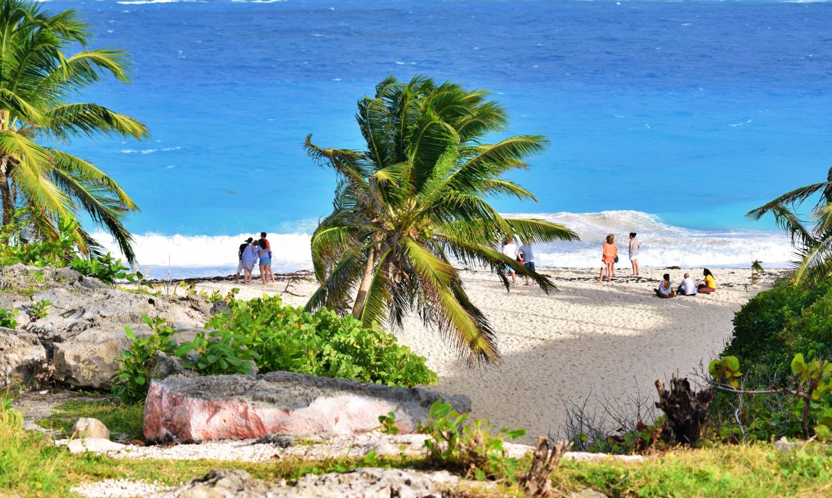Barbados beach with palm trees