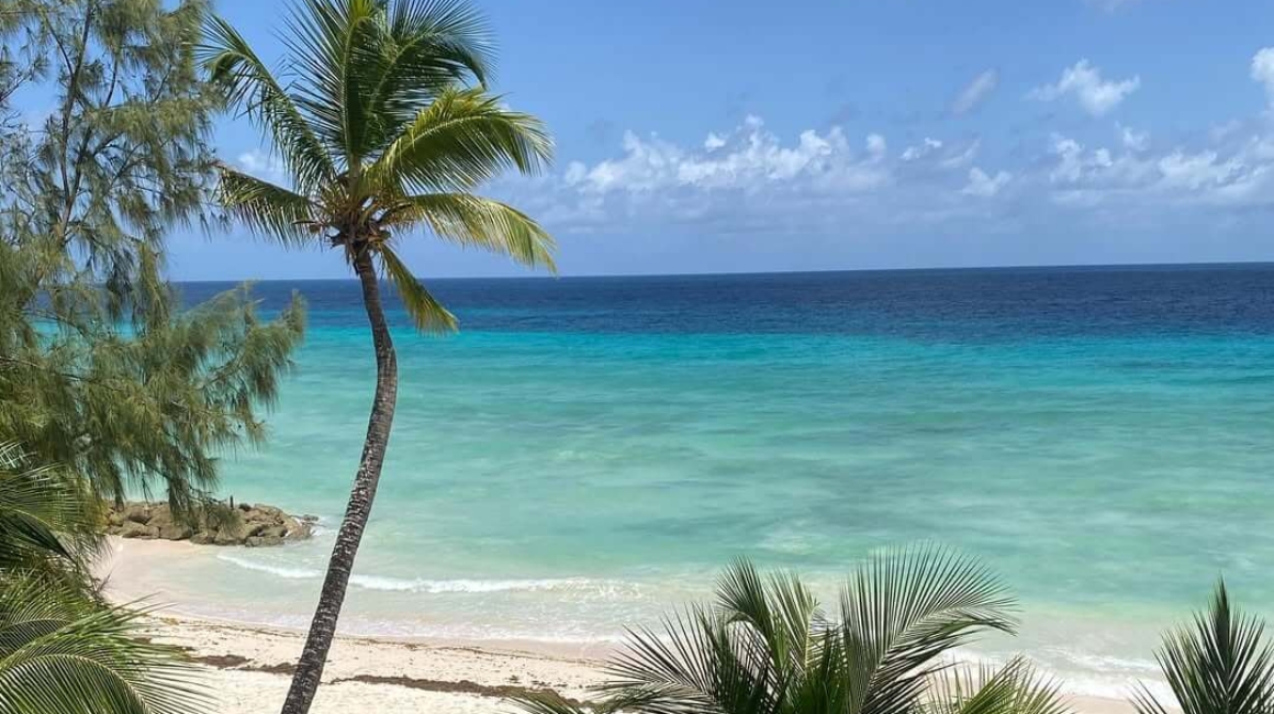 White Sands Beach Condos (1)
