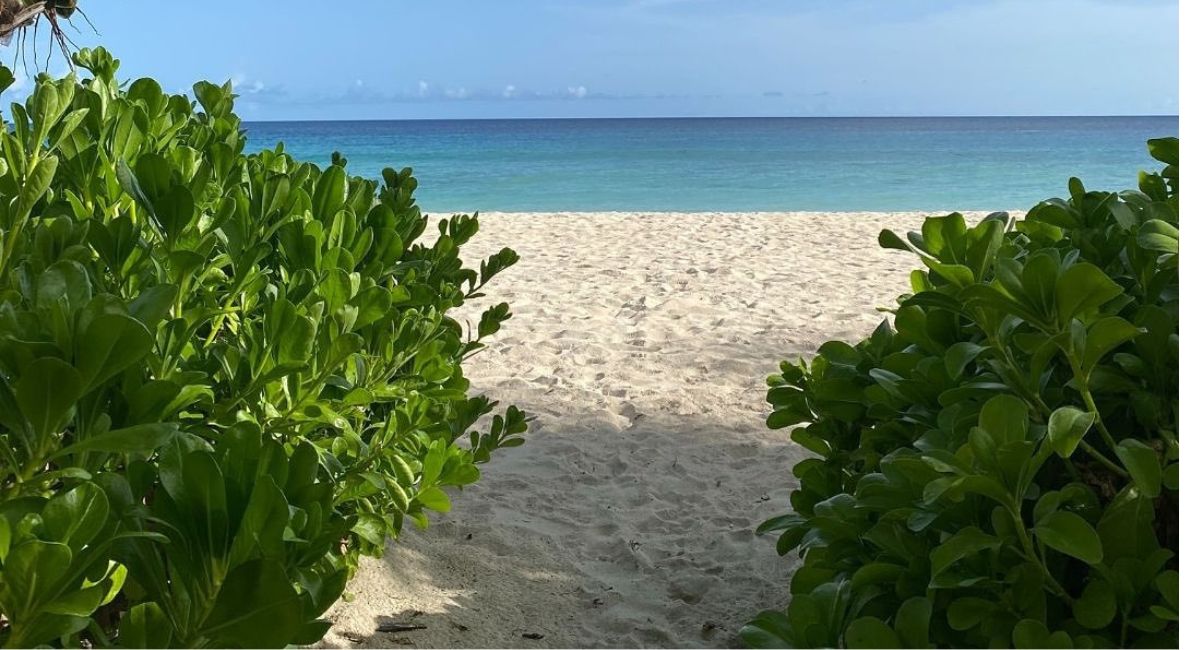 White Sands Beach Condos (4)