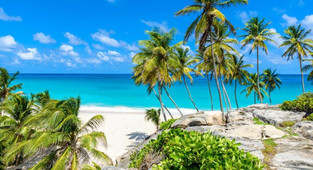 Bottom Bay beach on Barbados southeast coast in Saint Philip parish showing pristine white sand, coconut palm trees and turquoise Caribbean waters - tropical paradise for digital nomads