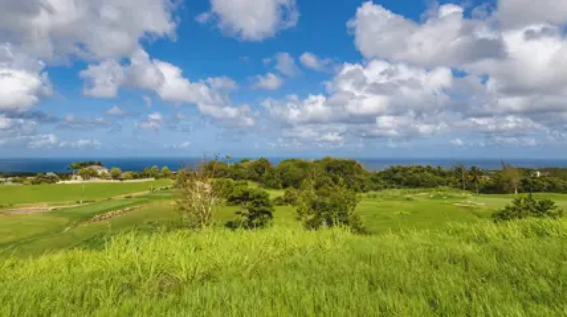 10-holders-lane-1-Apes-Hill