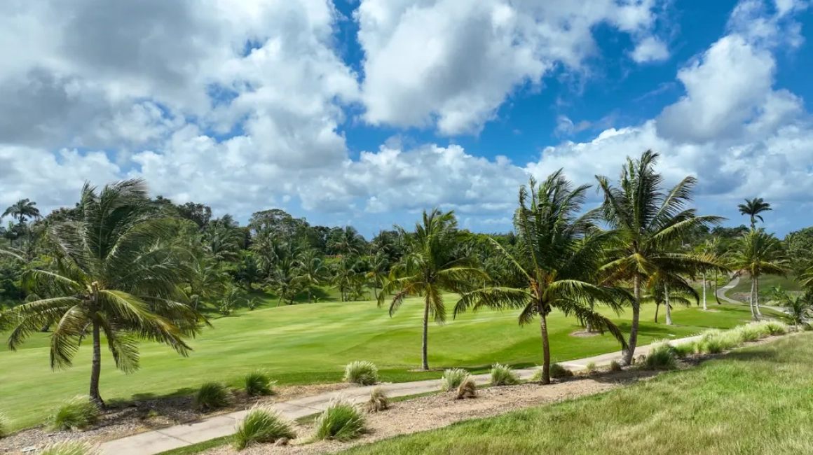 Holders Meadow 2 Apes Hill 19945