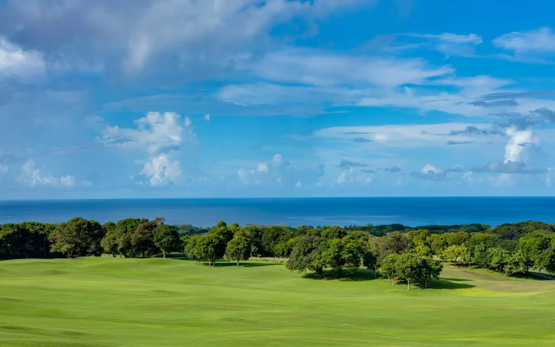 Ocean View, Royal Westmoreland, St James