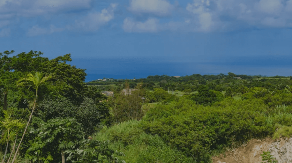 Holders Meadow 30746