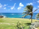 DJI_20251111123652