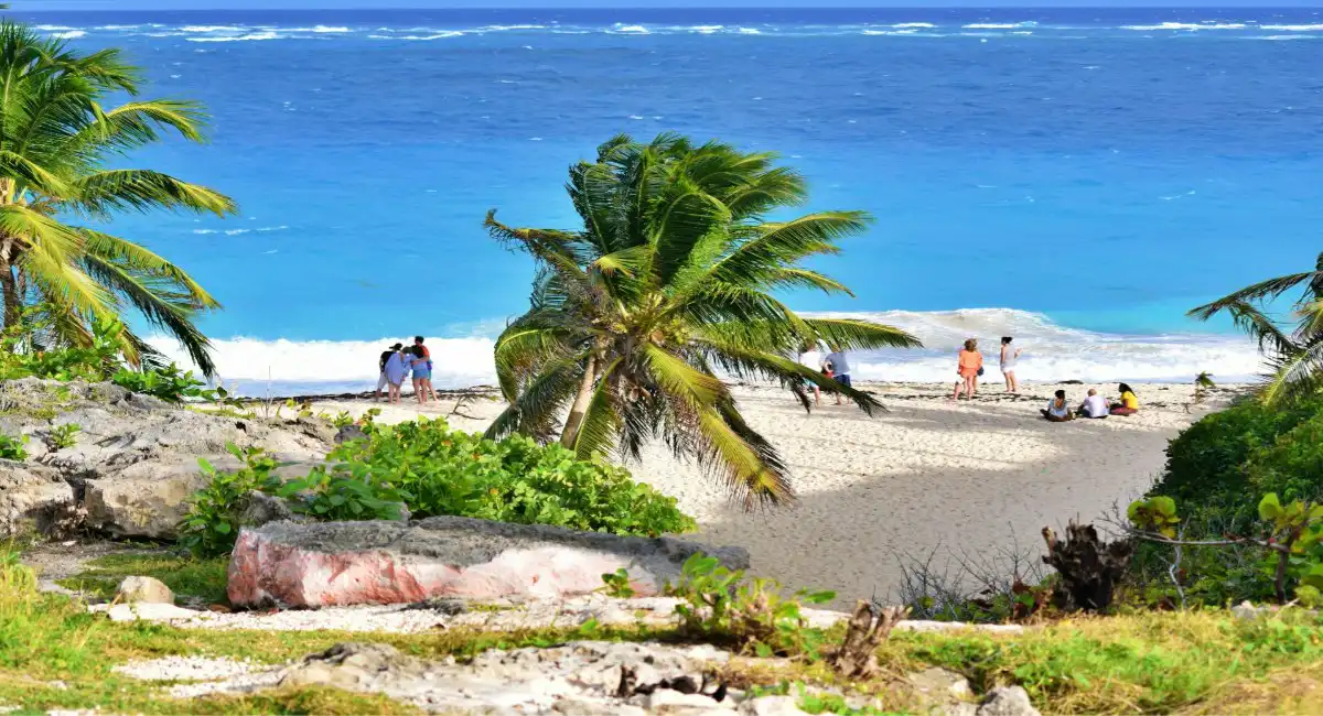 Visitors on a sandy beach in Barbados, with palm trees and turquoise Caribbean sea