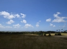 14306-Lion Castle Plantation DSC_0112
