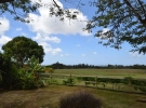 14306-Lion Castle Plantation DSC_0115