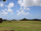 14306-Lion Castle Plantation DSC_0116