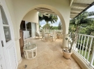 17 RWM Sago Adjoining Patio