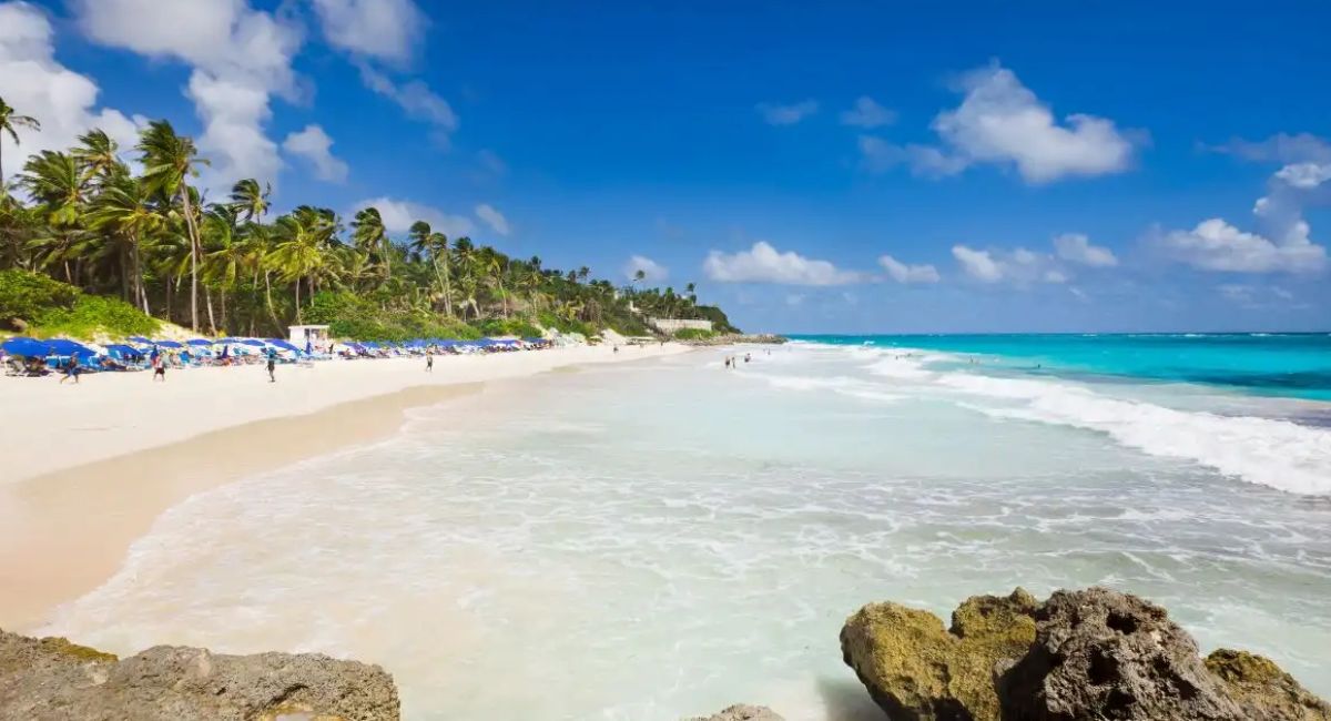 Crane beach with people playing in the white sand beach lined with palm trees
