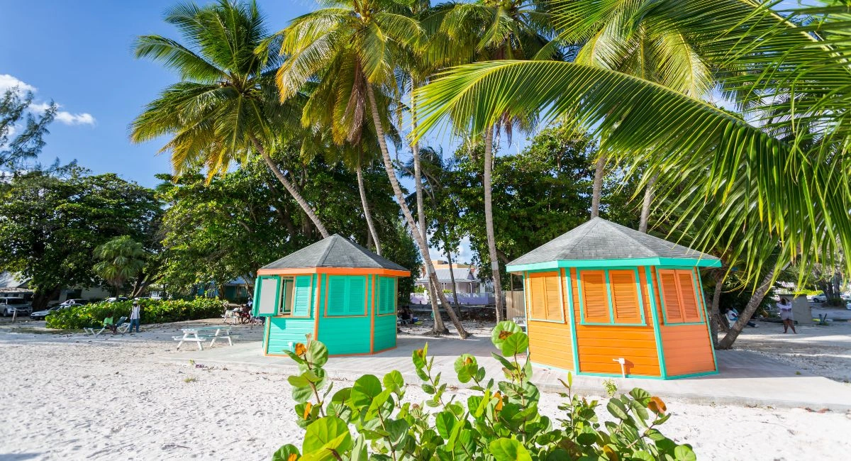Colourful huts on the beach with palm trees surrounding them at Worthing Beach, Christ Church, Barbados