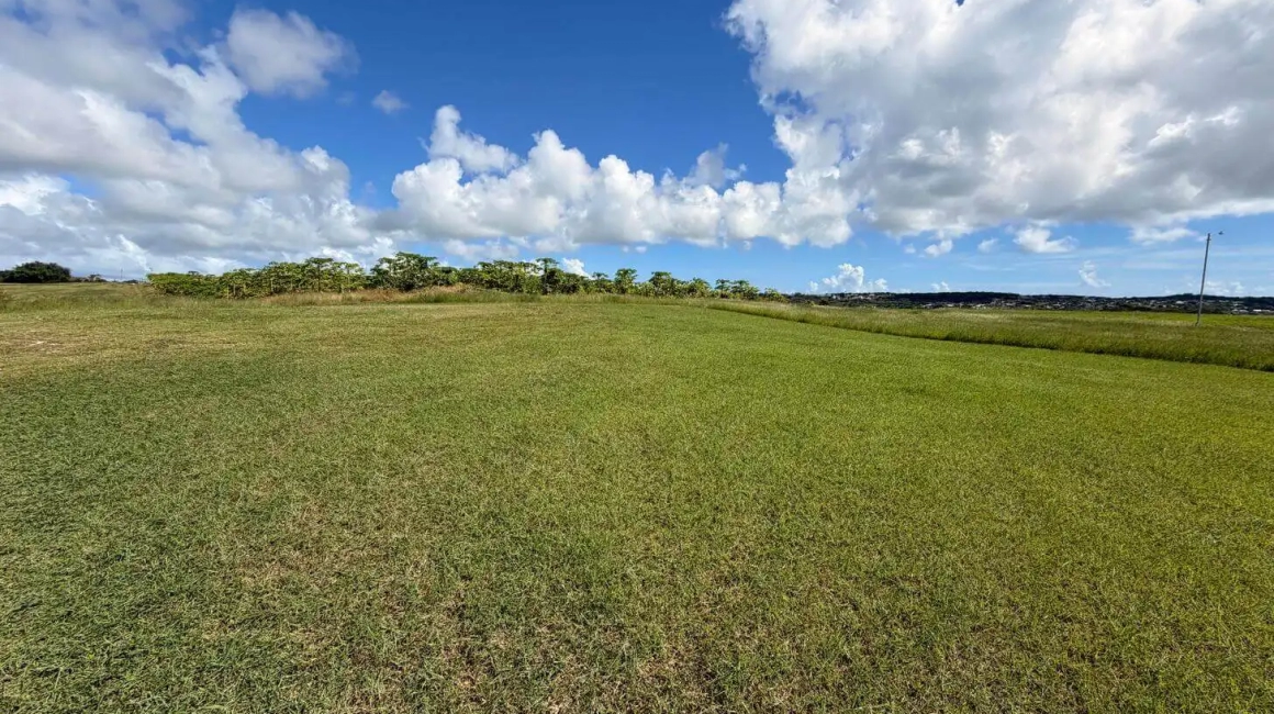 Lot 7, Valley Plantation
