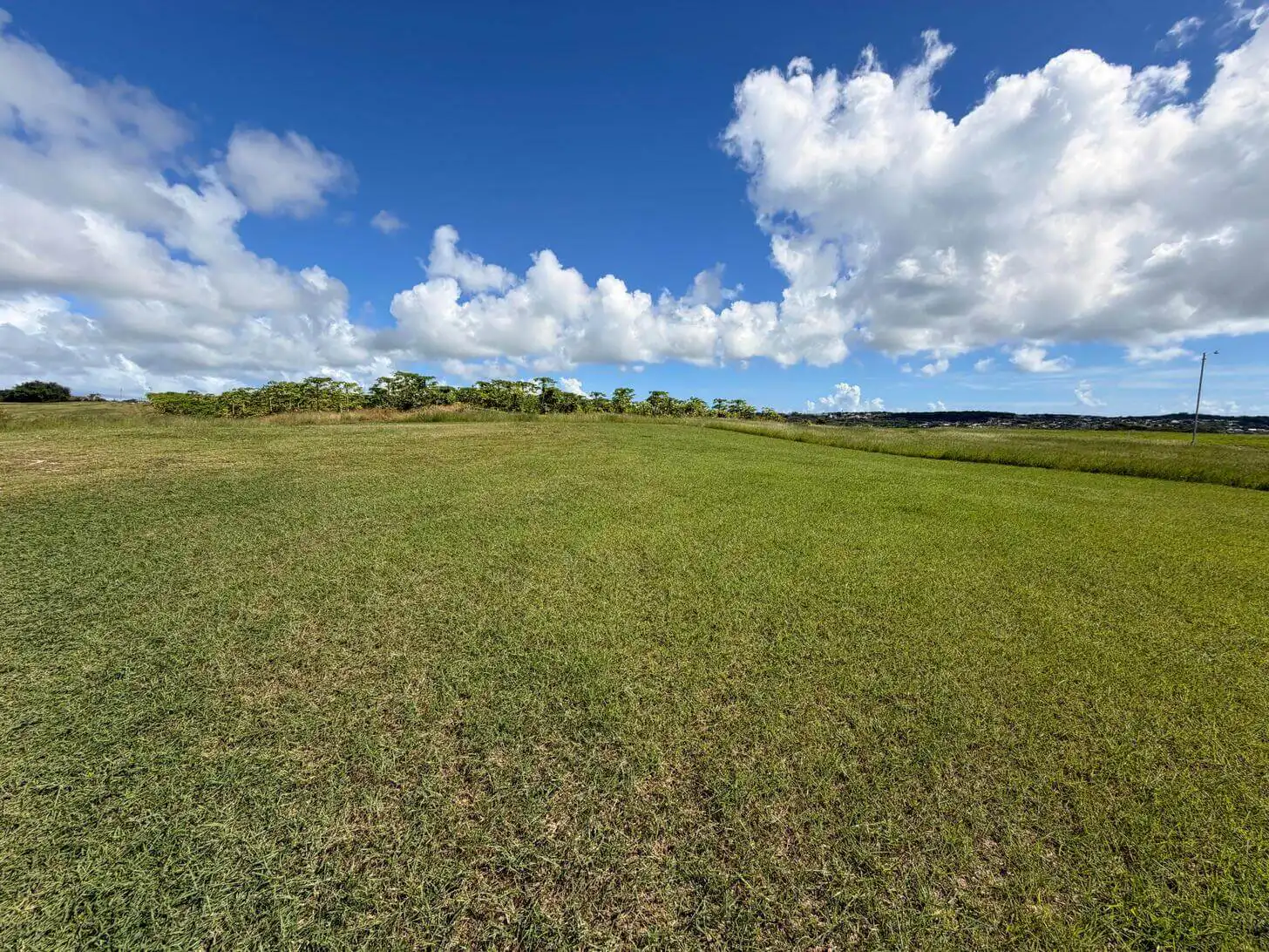 Lot 7, Valley Plantation