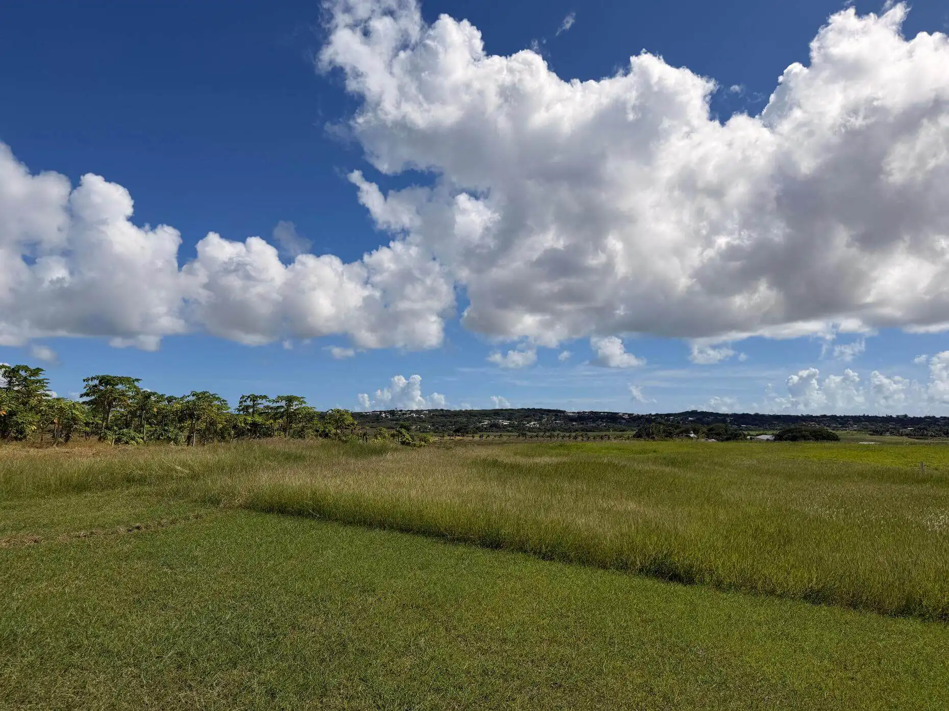 Lot 7, Valley Plantation