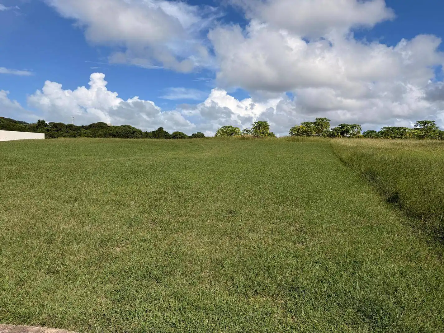 Lot 7, Valley Plantation
