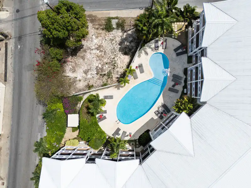 Lantana 20